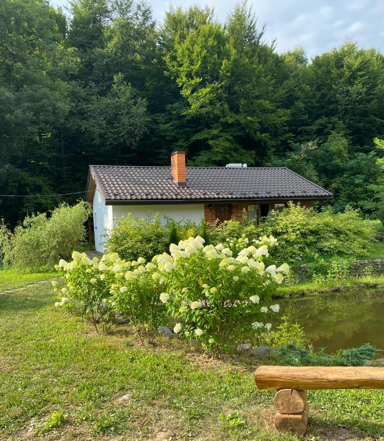 Holiday home Usadba Novoselitsa Exteriér fotografie