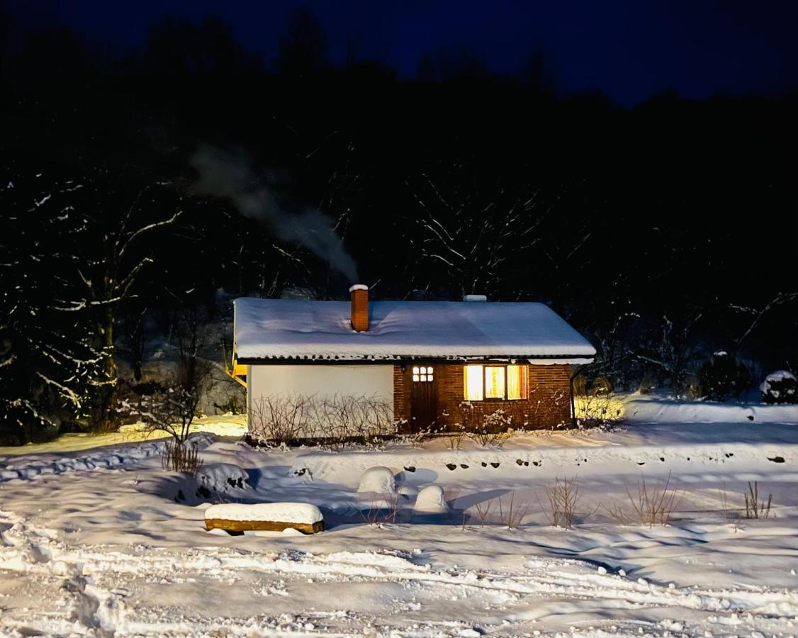 Holiday home Usadba Novoselitsa Exteriér fotografie