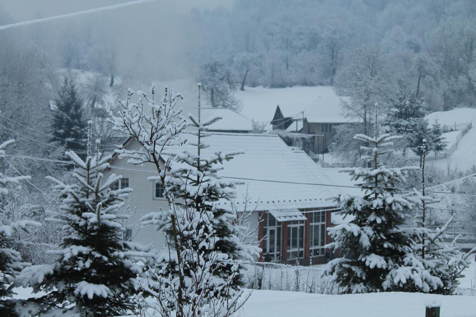 Holiday home Usadba Novoselitsa Exteriér fotografie