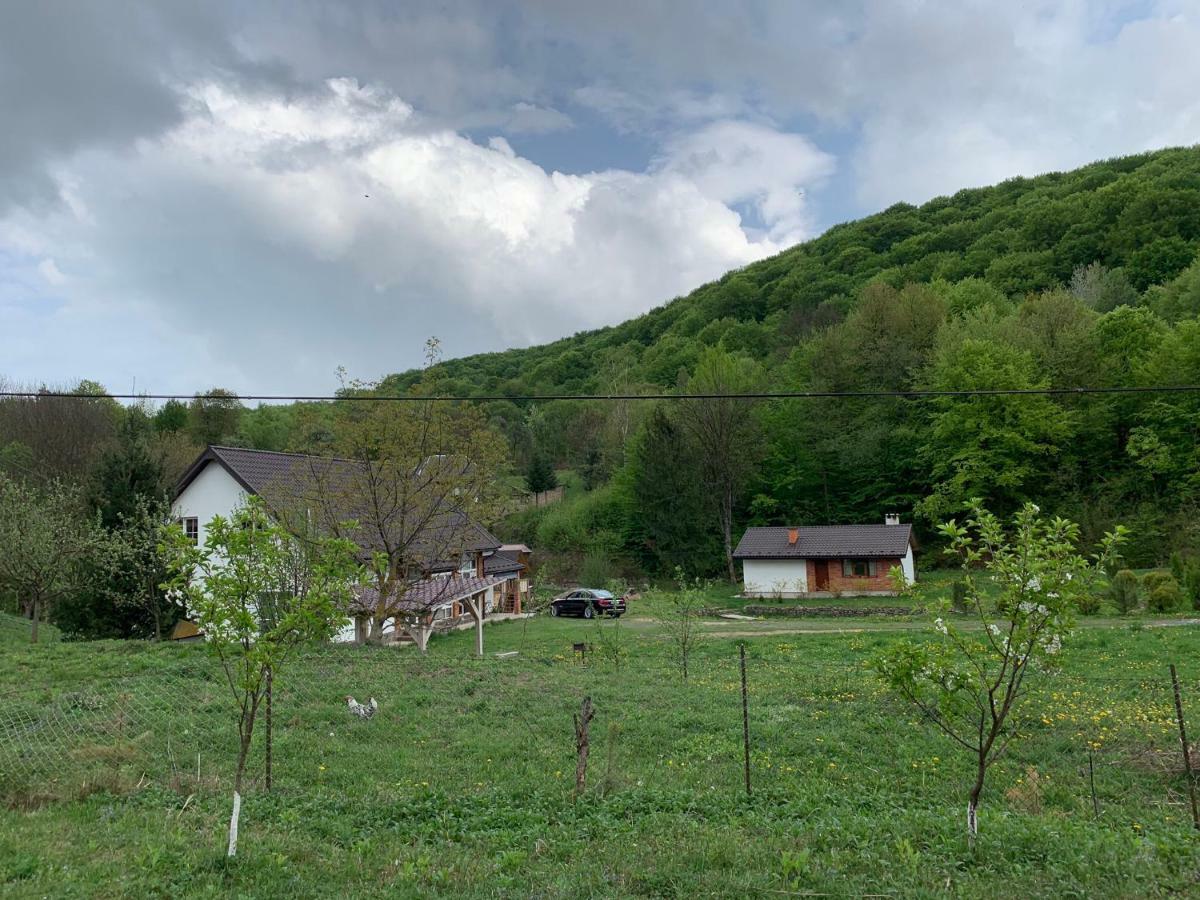 Holiday home Usadba Novoselitsa Exteriér fotografie
