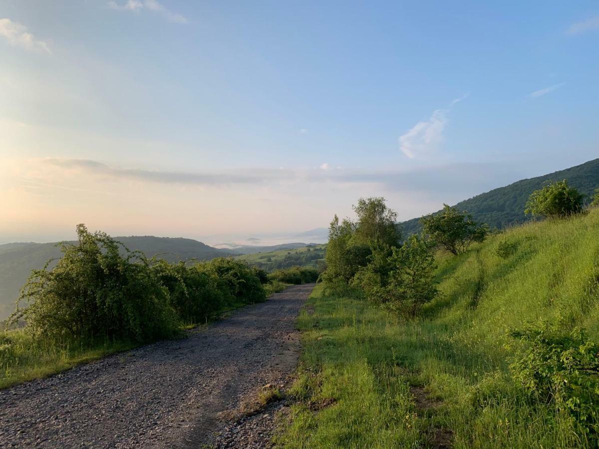 Holiday home Usadba Novoselitsa Exteriér fotografie